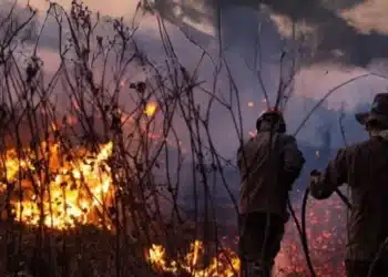 Corpo de Bombeiros Militar do Mato Grosso do Sul/Divulgação.