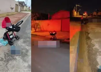 Reprodução/PMGO.