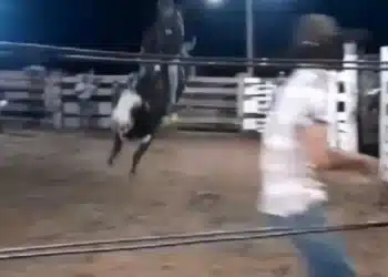 Reprodução/Juína News.