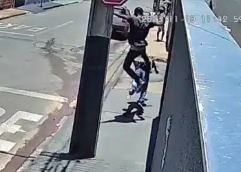Reprodução.