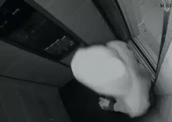 Acervo pessoal.