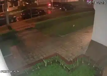 Reprodução.