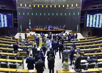 Zeca Ribeiro/Câmara dos Deputados