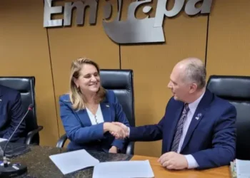 Divulgação/Embrapa