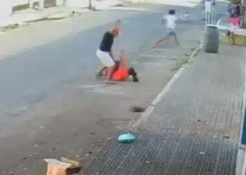 Reprodução.