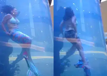 Reprodução.
