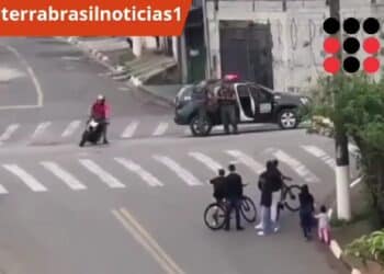 Reprodução.