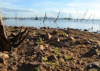 17.mar.2015 - Por causa da estiagem que afetou o Nordeste, nível do reservatório de Sobradinho caiu a patamares inéditos Imagem: Beto Macário/UOL.