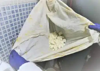 Reprodução.