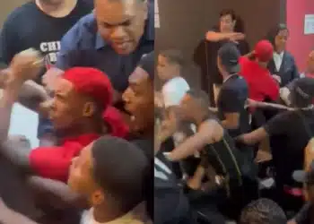 Reprodução.