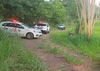 Divulgação.