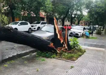 Reprodução/NoheDiazG.