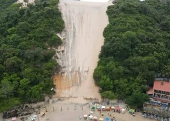 Reprodução.