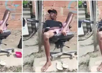 Reprodução