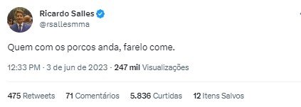 Postagem de Ricardo Salles no Twitter