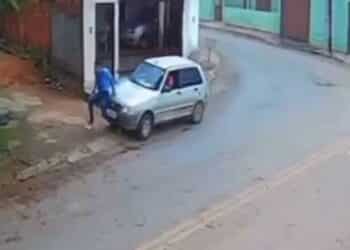 Reprodução
