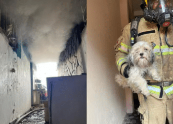 Corpo de Bombeiros/Divulgação