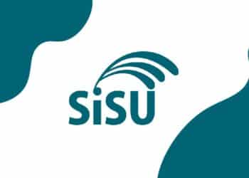 Sisu