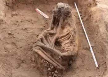 W Lage Arqueologia