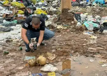 Polícia Militar de Minas Gerais