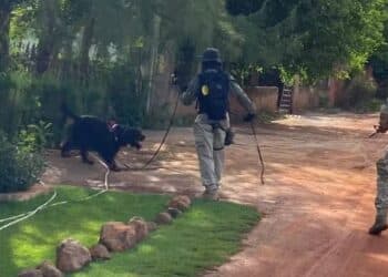 Foto: Divulgação/Polícia Federal