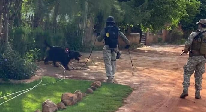 Foto: Divulgação/Polícia Federal