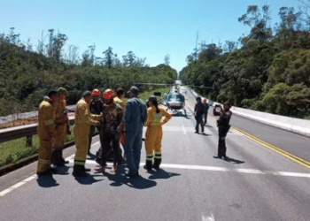 Foto: divulgação/Fundação Florestal