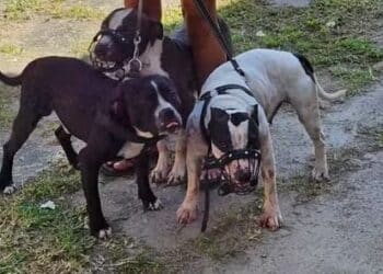 Foto: Arquivo pessoal