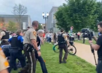 Foto: AP Photo/ Matt Rouke