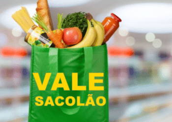 Vale-Sacolão o Auxílio Alimentar de R$250 promete revolucionar o BPC e combater a fome no Brasil