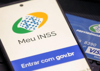 Descubra seu número de benefício do INSS em minutos: Guia prático