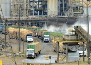 Reprodução/Estadão