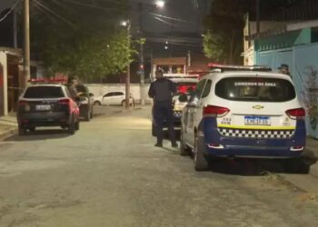 Foto: Reprodução/TV Globo / Perfil Brasil