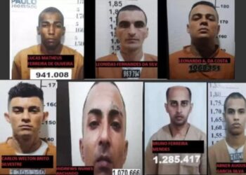 Reprodução/ SIFUSPESP