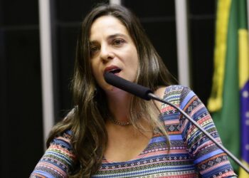 (Foto: Michel Jesus - Câmara)