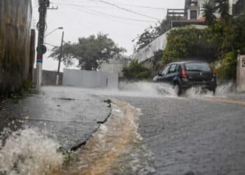 (Foto: Tiago Ghizoni, NSC Total, arquivo)