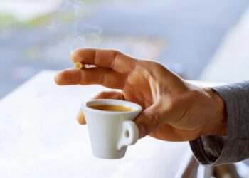 Crédito: ungvar | Shutterstock