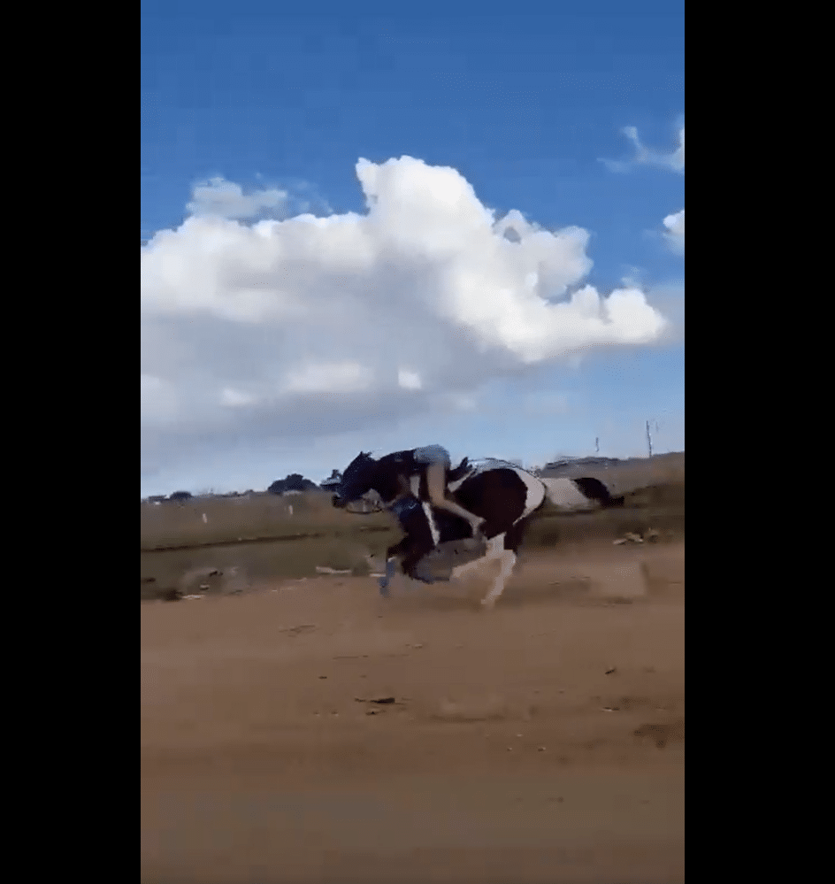 Mulher é flagrada desesperada montada em cavalo galopando em alta  velocidade; VEJA VÍDEO - Terra Brasil Notícias