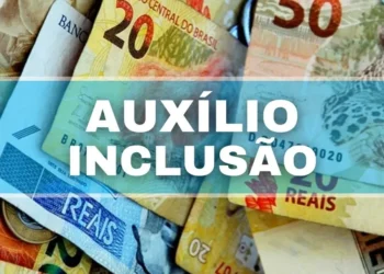 Auxílio-inclusão: uma oportunidade para pessoas com deficiência