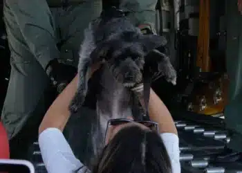 Sérgio Lima/Poder360