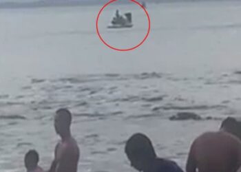 Reprodução/Redes Sociais