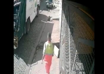 Reprodução/X