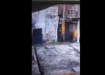 Reprodução/X
