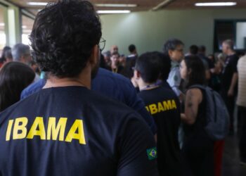 (Foto: Divulgação/Ibama)