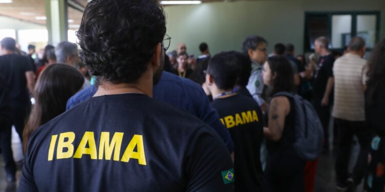 (Foto: Divulgação/Ibama)