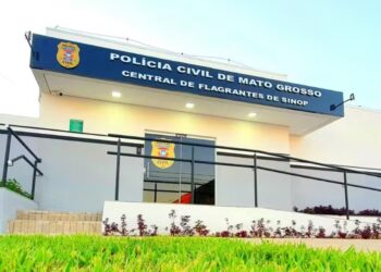 Foto: Divulgação/Polícia Civil do Mato Grosso