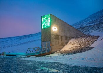 Foto: Svalbard Global Seed Vault