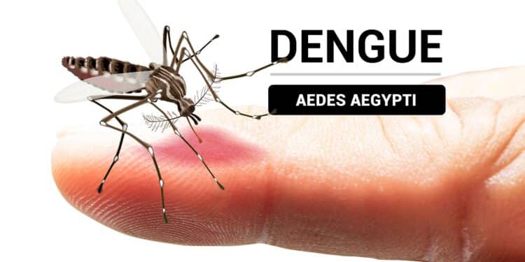 DENGUE-Imagem: Reprodução