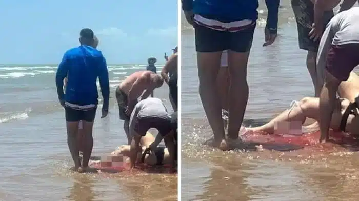 Un brutal ataque de tiburón asusta a los nadadores y hiere a cuatro;  Ver el vídeo
