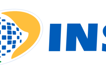 INSS (Foto:Divulgação)